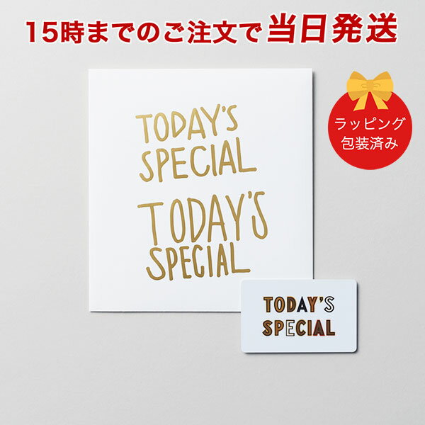 TODAY'S SPECIAL（トゥデイズスペシャル） GIFT CATALOG GOLD（ゴールド）【カタログギフト 当日15時ま..