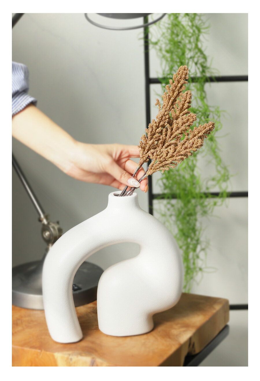 �ե��������꡼�� �ե������ߥ�å� ����ƥꥢ ¤�� �֥饦�󡦥᡼�����Բ�