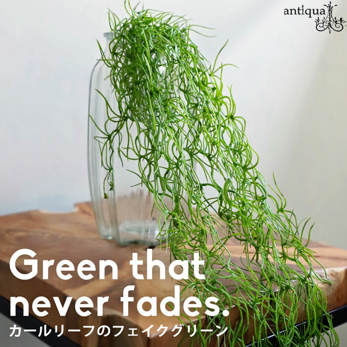 antiquaʥƥˤ㤨֥꡼ ե꡼ ƥꥢ ߤ겼ס᡼ԲġפβǤʤ490ߤˤʤޤ