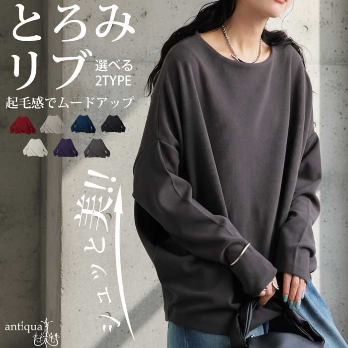 シュッと美 トップス レディース 起毛リブ 長袖 送料無料・メール便不可