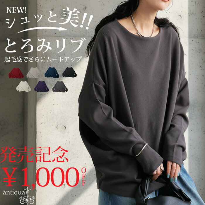 【発売記念1000円OFF！25日10時〜4日10時迄】シュッと美 トップス レディース 起毛リブ 長袖 送料無料・メール便不可