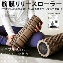 ヨガワークス ヨガ棒ライト ヨガ グッズ　yogaworks ヨガ ピラティス ストレッチ ヨガプロップ 補助具 サポートグッズ プロップス Yoga works【送料無料】YOGA-BOU LIGHT ◇◇