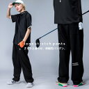 ANTIQUA GOLF×STCH ストレッチパンツ メンズ 送料無料・再再販。メール便不可