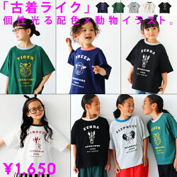 アニマルカレッジ Tシャツ ロゴT キッズ トップス 子供服 ジュニア・(50)メール便可 TOY