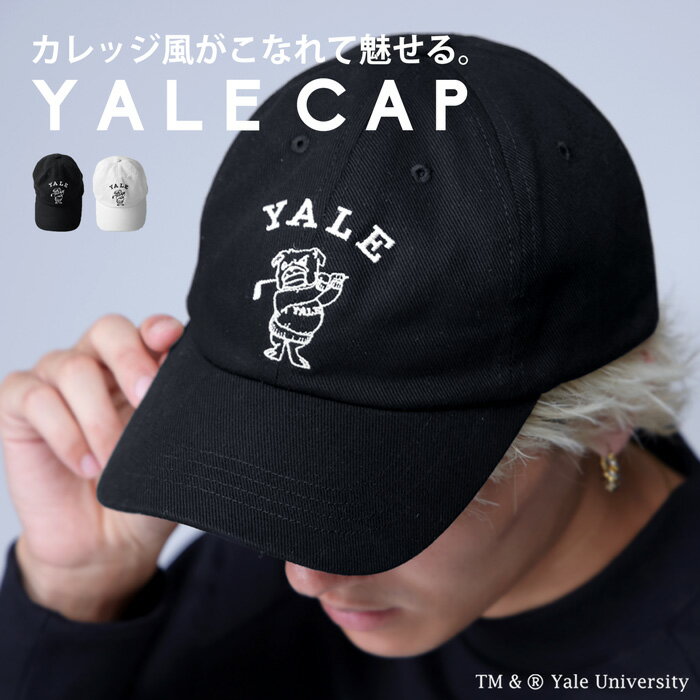  YALE ANTIQUA GOLF å  ̵᡼ԲġZ