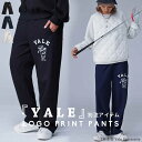 ʒ YALE ANTIQUA GOLF Spc fB[X  E s ̓