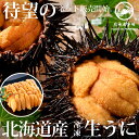 冷凍 生冷凍うに 70g 北海道産 生冷 冷凍食品 送料無料・メール便不可(V)