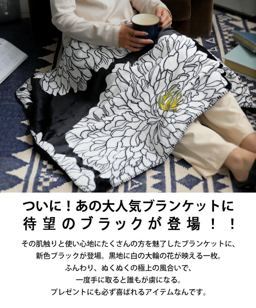 ブランケット オリジナル Sサイズ100×70cm ひざ掛け 肩掛け・メール便不可 antiqua-a-10029214 antiqua(アンティカ) サンプル画像2