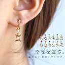 アクセ送料無料 イヤリング アクセサリー 星座 誕生石 真鍮 キュービック 飾り 繊細 大人 レディース おしゃれ シンプル 誕生日 プレゼント・(10)メール便可