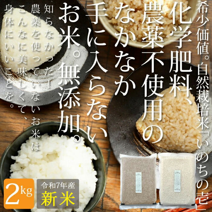 2025年 新米 メディアで