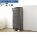 ★事前問合せ必須★ ヨーロッパアンティーク アイアンキャビネット 超希少 特大 ラック 収納棚 本棚 棚 たな 書庫 店舗什器 インダストリアル リビング 収納...