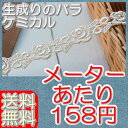 【送料無料】業務用1.5cm幅きれいな生成りバラケミカル(50m)