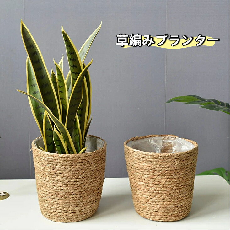 商品名：シーグラス編み植木鉢カバー適用対象：サンスベリア、モンステラなどの観葉植物素材：天然シーグラス、内側防水ライナーサイズ：口径 22cm 高さ 21cm 底径 15cm商品特徴天然シーグラス素材を使用した職人手作りの編みかごです。ナチュラルな風合いでお部屋のインテリアに馴染みます。既存のプラスチック植木鉢をそのまま中に入れて使用する鉢カバーです。見た目をおしゃれに変えられます。内側に防水シート付き、土や水滴が外に漏れにくい仕様です。厚みのある編み込みで丈夫で型崩れしにくく、長くお使いいただけます。リビング、玄関、ベランダなどに適し、観葉植物以外に小物収納バスケットとしても活用可能です。使用上の注意天然素材の手作り品のため、編み目やサイズに若干個体差があります。完全防水ではございません。過剰な水やりにご注意ください。直射日光や雨に長時間さらすと劣化が早まります。屋内または軒下での使用推奨。鋭利な物で傷つけないようお取り扱いください。