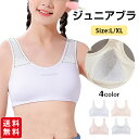 ジュニアブラ ブラジャー スポーツブラ ノンワイヤ 下着 綿 パット付き キッズブラー インナー 青春期 成長期 部活 中学生 子供用 小学生 女の子