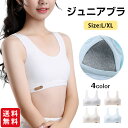 ジュニアブラ ブラジャー スポーツブラ ノンワイヤ 下着 綿 パット付き キッズブラー インナー 青春期 成長期 部活 中学生 子供用 小学生 女の子