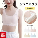 ジュニアブラ ブラジャー スポーツブラ ノンワイヤ 下着 パット付き キッズブラー インナー 青春期 成長期 部活 中学生 子供用 小学生 女の子