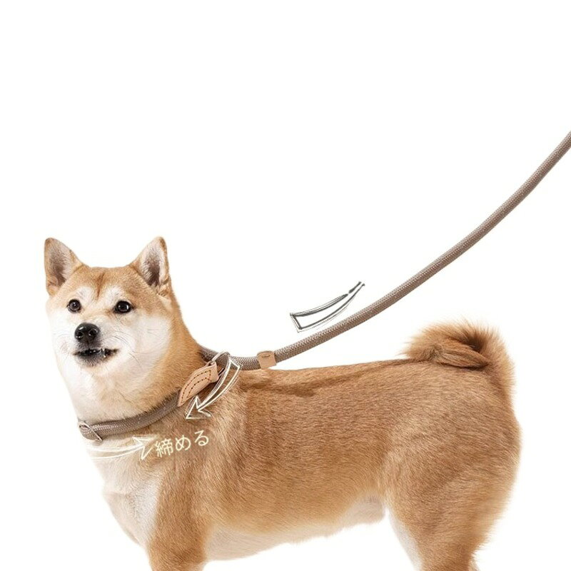 犬用 P リード P チェーン 中型犬 大型犬 引っ張り癖矯正 しつけトレーニング 1 秒制御 二重ストッパー 喉を締め付け過ぎない 丈夫ロープ 訓練用リード 散歩 抜け防止 丈夫 耐摩耗