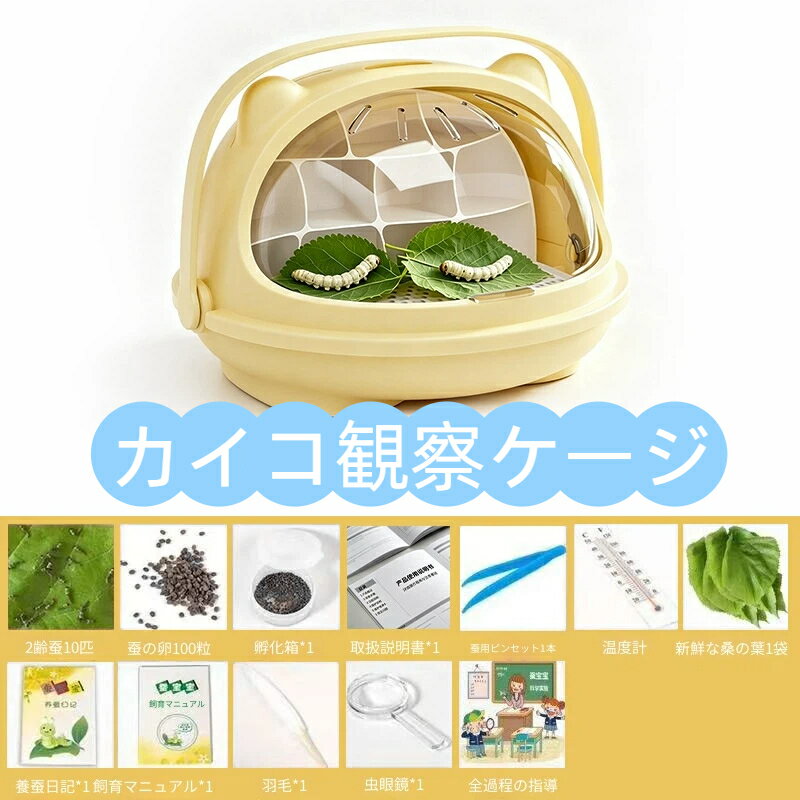 楽天市場】カイコ 幼虫の通販