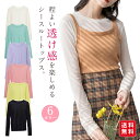 【今なら780円&2点買うと200円OFF・3点400円OFF】シースルーTシャツ カットソー トップス レディース トップス 長袖 透け感 レイヤード プルオーバー シアー クルーネック 春夏 薄手 カジュアル 着痩せ(4)