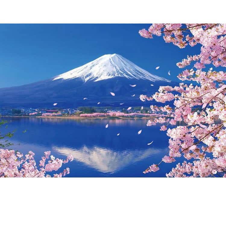 大型 5D ダイヤモンドアート キット フル 刺繍キット 初心者 セット 富士山 桜 日...