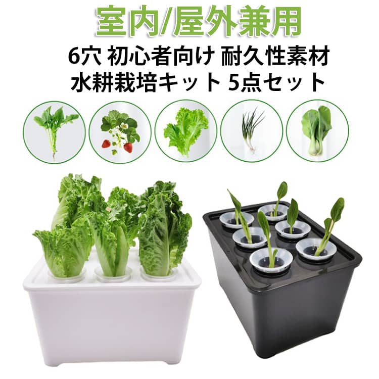 樂天商城 - 【5点セット】 水耕栽培キット 家庭菜園 6穴 水耕栽培 大型 キット プランター 種子栽培セット 自作 植木鉢 野菜栽培セット 無土壌栽培ボックス 栽培セット 観葉植物 野菜 果物 ハーブ 花 苗 インテリア 菜園 栄養豊富 初心者向け 耐久性素材