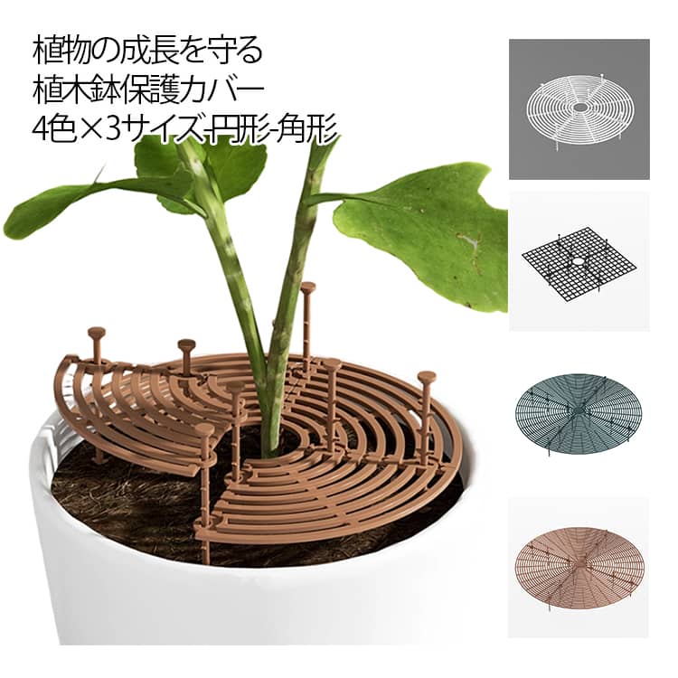 植物の成長を守る植木鉢保護カバー4色×3サイズ 円形/角形サイズ自由に裁断可能【4個セット】【植物を守る】 ペット対策必須アイテム！6mm密目グリッドが猫の爪攻撃を完全ブロック。好奇心旺盛なペットや幼児のいたずらから土壌をガード。誤飲防止の安全設計！屋内、屋外、バルコニー、庭、パティオ、卓上鉢植えなどに適した、植木鉢に別の美しさを追加します。【超耐久素材】 耐候性、防水性、耐熱性を持つ高品質なプラスチックで作られており、破れや変形に強く、長期間の水や日光、高温の曝露でも劣化しにくい丈夫な製品です。【植物に優しい環境】 通気性に優れたメッシュデザインを採用しており、土壤の換気に最適な環境を保ち、植物の光合成を促進し、根の健全な成長を促します。【土壌を効果的に保護】 プランターの土カバーとして機能し、広い範囲のプランターの縁を覆い、水やり時に散乱する土を防ぎ、子供やペットの手が届かない環境を整え、床の清潔さを保ちます。また、風による土の飛び散りを防ぎ、植物の根の安定した成長を支えます。【3サイズ・自由カット】 19cmと30cm、52cmの3種類の直径があり、ブラックとブラウンの2色から選べるため、小型観葉植物から大型の植木鉢まで、幅広いニーズに合わせることができます。ハサミで簡単にトリミング可能！植木鉢のサイズに合わせて自由に加工できます。【使用簡単】 1.植木鉢のサイズを測る。2.必要サイズにカットする。3.植木鉢グリッドの4つの部分を、土の表面に整然と並べて設置する。4.付属のプラスチックボルトを土壌に挿入して、グリッドを固定する。 サイズ 4個セット サイズについての説明 尺寸：∅19cm/∅30cm/∅52cm重量：45g/97g/261g ※商品のサイズは手作業で測定させて頂いておりますので、若干の誤差があります。 素材 PP 色 直径19cm-円形/ブラウン 直径19cm-円形/ブラック 直径30cm-円形/ブラウン 直径30cm-円形/ブラック 直径52cm-円形/ブラウン 直径52cm-円形/ブラック 直30cm-方形/ブラウン 直径30cm-方形/ブラック 直径19cm-円形/ホワイト 直径30cm-円形/ホワイト 直径52cm-円形/ホワイト 直径19cm-円形/グリーン 直径30cm-円形/グリーン 直径52cm-円形/グリーン 備考 ●サイズ詳細等の測り方はスタッフ間で統一、徹底はしておりますが、実寸は商品によって若干の誤差(1cm～3cm )がある場合がございますので、予めご了承ください。 ●製造ロットにより、細部形状の違いや、同色でも色味に多少の誤差が生じます。 ●パッケージは改良のため予告なく仕様を変更する場合があります。 ▼商品の色は、撮影時の光や、お客様のモニターの色具合などにより、実際の商品と異なる場合がございます。あらかじめ、ご了承ください。 ▼生地の特性上、やや匂いが強く感じられるものもございます。数日のご使用や陰干しなどで気になる匂いはほとんど感じられなくなります。 ▼同じ商品でも生産時期により形やサイズ、カラーに多少の誤差が生じる場合もございます。 ▼他店舗でも在庫を共有して販売をしている為、受注後欠品となる場合もございます。予め、ご了承お願い申し上げます。 ▼出荷前に全て検品を行っておりますが、万が一商品に不具合があった場合は、お問い合わせフォームまたはメールよりご連絡頂けます様お願い申し上げます。速やかに対応致しますのでご安心ください。