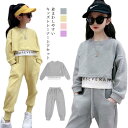 カッコイイ ダンス服装 子供服 女の子 スウェット上下セット トレーナー ジュニア レイヤード 無地 カジュアル 韓国子供服 重ね着風 パーカー 長袖 春秋 シ...