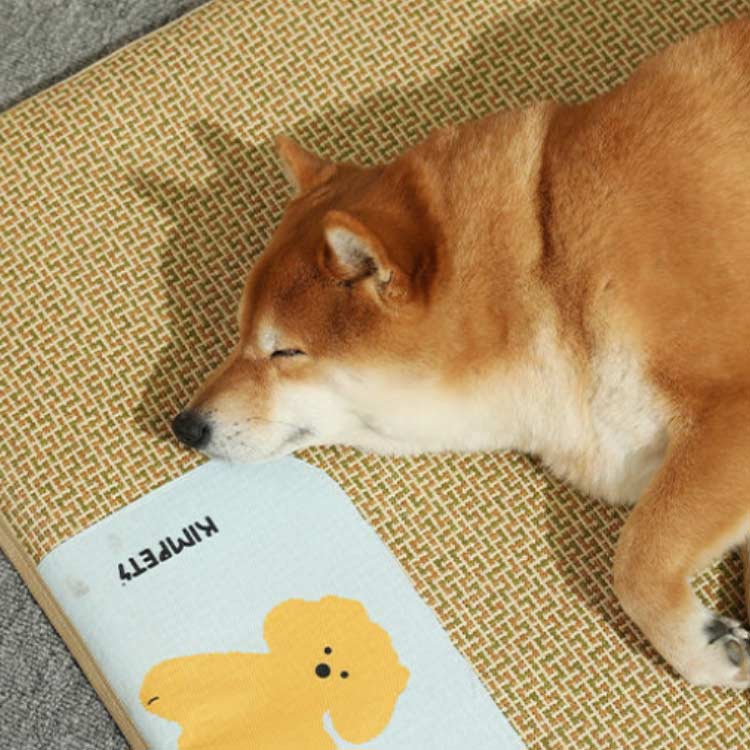 ペットベッド ラタンマット ひんやり 夏 猫用 ベッド 猫マット 犬 ペット 寝具 小...