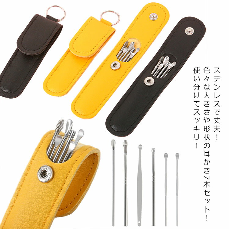 収納ケース付き 耳かき 衛生用品 スプリング 6本セット ステンレス 耳掻き 耳掃除 日用品 セット 耳そうじ ヘラ型 送料無料