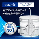 【正規品 / 1年交換保証】口腔洗浄器 ジェットウォッシャー Waterpik ウォーターピック WF-11 イオン 据え置き型 口腔洗浄機 口腔洗浄 ウォー...