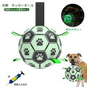 犬 おもちゃ ボール 15cm/18cm ペット ポンプ付き 発光 夜光ボール 犬用サッカーボール 犬のおもちゃ 光ボール 光るおもちゃ 犬 知育玩具 耐久性 耐噛みトレーニングのおもちゃ 犬 おもちゃ インタラクティブ 中小型犬に適用 イン 運動不足