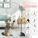 猫おもちゃ 猫じゃらし 羽棒 鈴付き ペットおもちゃ 猫遊び 羽根 吸盤付き ひとり遊び 可愛い 面白い 猫用玩具 猫の羽のおもちゃ ストレス解消 本能刺激 運...