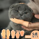 即納 SNSで話題♪ 指サック 猫 おもちゃ 犬 猫用 おもちゃ 面白い 指サック 5点セット 撫でる 動画撮影 写真 道具 癒し ペット用 おもちゃ手遊び フ...