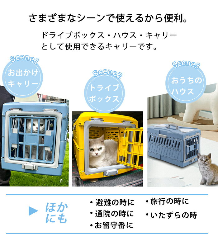 �ڥå��ѥ���꡼�Хå� �ޤꤿ���� ǭ ����꡼�Хå� ������ ����꡼�Хå� ǭ �� �ڥåȥ���꡼������ ���� ǭ�ѥ���꡼�Хå� ������Хå� �ڥåȥϥ����� ������ ������꡼�Хå� ������� ���ӽФ��ɻ� �¿� ���Ф��� ι�� �ɺ� �̱�