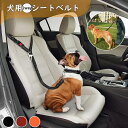 ペット用 シートベルト 犬 ドライブシートト 両用 多機能リード 車用安全ベルト ナイロン製 反射素材 車専用リード 助手席 飛び出し防止ヘッドレスト 伸縮性あり 長さ調節可 安全 簡単装着 外出 お出かけ アウトドア カー用品