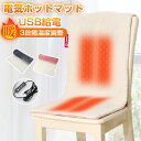 椅子用ヒーター 電気ホットマット 椅子用 ヒーターシート ホットマット 発熱マット 電気マット ヒータークション 加熱パッド 3段階温度調整 usb給電式 発熱 電熱 電気シート 電気ヒーター 省エネ 腰 背中 お尻 座椅子 車内 暖房器具 あったか 電気座布団 クッション(2)