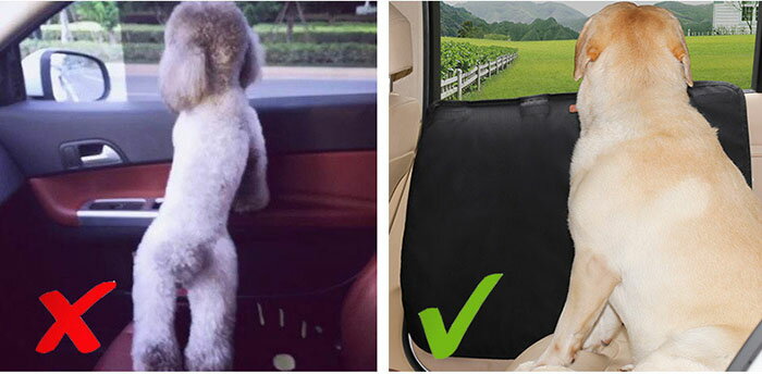 �ڥå��ѥɥ饤�֥����� �����ɥɥ��ݸ�С� 2�祻�å� �ɥ��ץ��ƥ����� �ɥ饤�֥ڥåȥ����� �޽� ����� ���줫�鶯�Ϥ��ɤ� ������ñ �������� �������å� ���� ǭ��