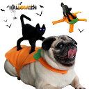 ハロウィン コスプレ衣装 ペット 猫 仮装 コスチューム 犬服 猫服 コスプレ コスチューム ペットコスプレ ハロウィン 猫 小型犬用 変身グッズ ペット服 ハ...