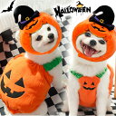 ハロウィン 衣装 猫 犬 かぼちゃの犬服 かぼちゃ カボチャ 2点セット 被り物 ペット帽子 猫変身 犬変身 変身 写真撮り おもしろい ドッグウェア コスチュ...