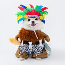 ハロウィン コスプレ衣装 ペット服 犬 王様 インディアン 二足歩行 2点セット ペット ペット ウィッグ 変身 猫用 帽子 犬用帽子 ペット 犬 コスプレ 犬...