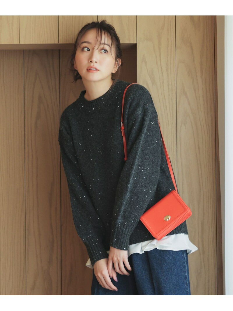 スパンコールニット ANY エニィ トップス ニット グレー レッド ベージュ グリーン【送料無料】[Rakuten Fashion]