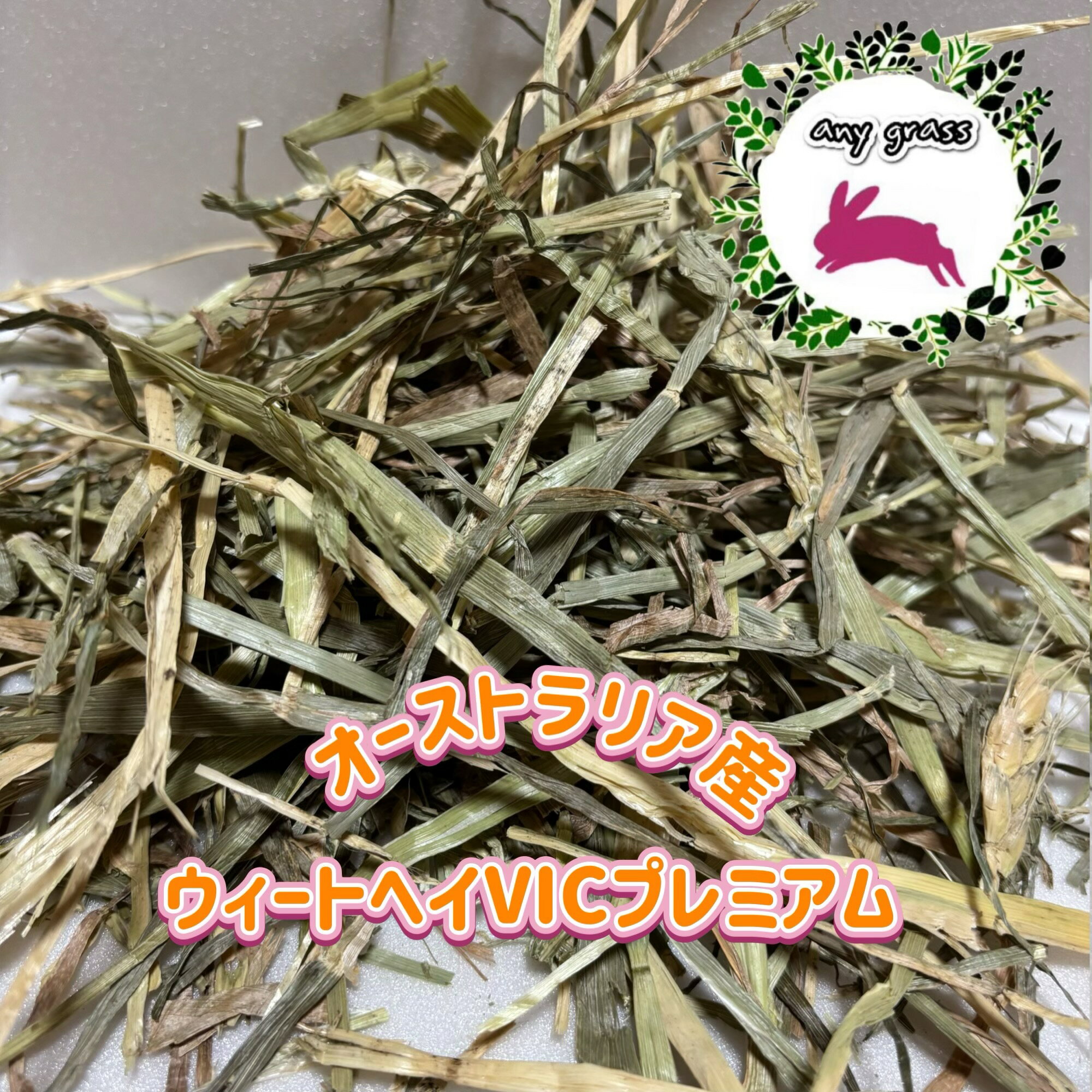【any grass】 オーストラリア産 ウィートヘイ VICプレミアム 800g~10Kg 楽天市場では初登場! 以前に取り扱っておりましたウィートヘイVICプレミアムが楽天市場で初登場！今回、遅刈りの熟成度が増した状態のものが入荷し、以前より色味はくすんでおりますが、香りは甘さが濃いめで、草食動物さんたちの香りのこだわりに一層食いつきの良さが見込まれます。茎の長さは、長いものも多めですが、基本的には長短混合となっております。葉も熟した甘味の強いもので、パリッとした印象です。ぜひ一度お試し下さい。ウィートヘイは甘い香りで嗜好性が高い牧草です。繊維質が豊富でカロリーが低く、排便を促しお腹の掃除に役立ちます。腸内環境を整える牧草としておすすめしています。小麦の牧草ですが、葉や茎にはグルテンは含まれないので安心して食べさせてあげられます。牧草嫌いな子や、今の牧草がちょっと飽きている子にも向いているウィートヘイ。きっかけ牧草としてや、いつもチモシーを食べている子のおやつとしてもオススメです。※細かくなりやすい牧草で、粉も多くなりやすいのでご承知おき下さい。※計量重量は梱包材抜きの正味量になります。※梱包用の袋や箱は新品を使用しています。※圧縮状態のままでの配送になりますのでご使用の際は、よくほぐして給餌して下さい。ごく稀に小石や異物が混入している場合がありますので、食べさせてあげる時にはよく確認してあげて下さい。※ご購入後は直射日光が当たる場所や湿気の多い場所を避け、保管をお願い致します。 5