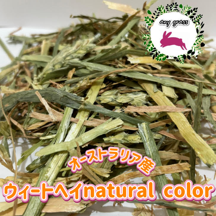 anygrassȥꥢȥإnaturalcolor1~10Kg