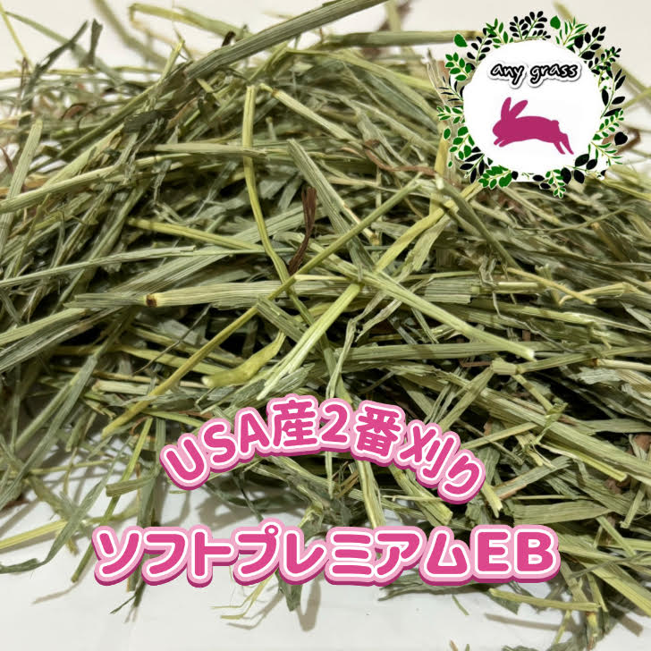 anygrassUSA⥷եȥץߥEB2ִ1Kg~10Kg