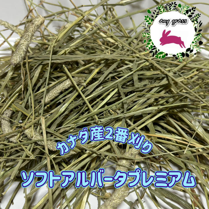 anygrassʥ⥷եȥСץߥ
