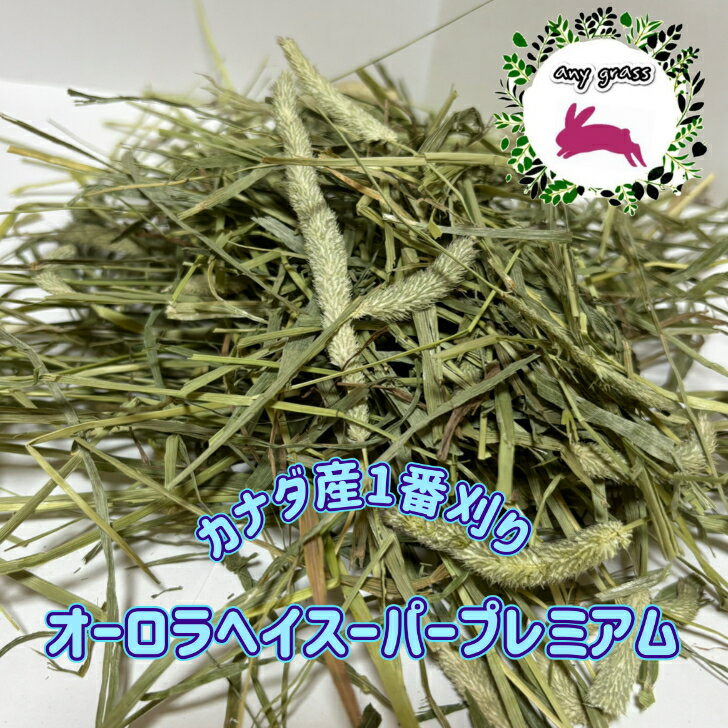any grass R6ǯ New Crop ʥ ⥷ 1ִ إѡץߥ 1Kg~10Kg 