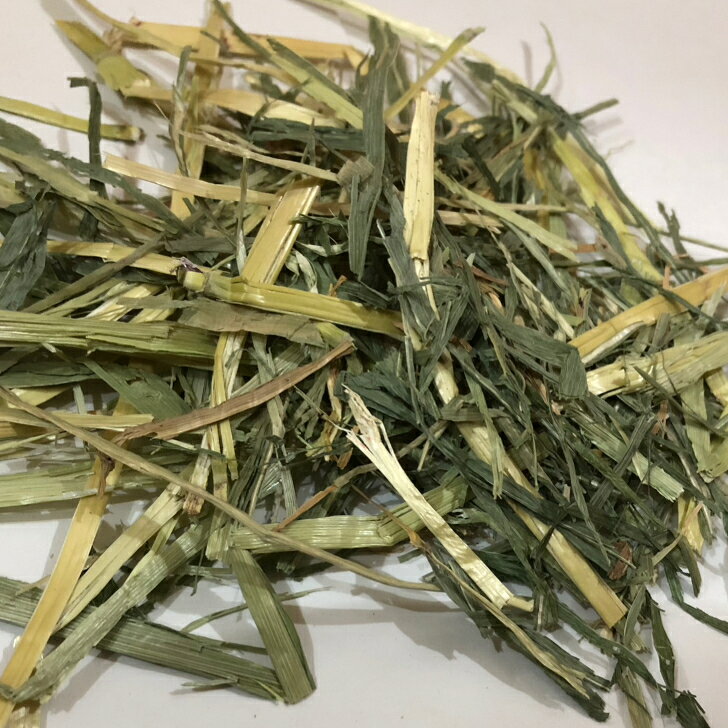 【any grass】 USA産 スーダンヘイ NCワシントン 800g~10Kg 牧草