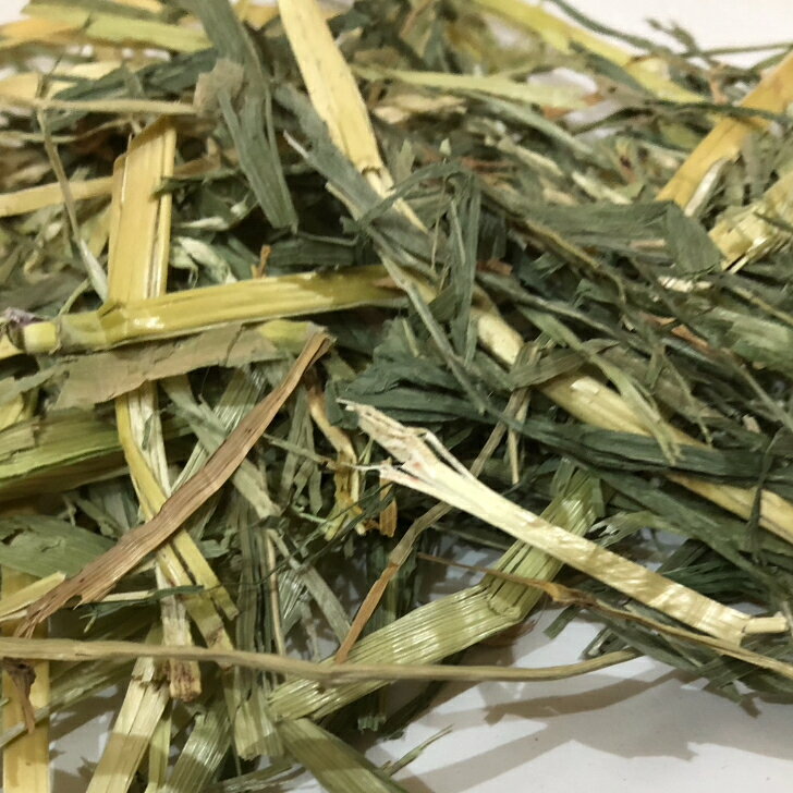 【any grass】 USA産 スーダンヘイ NCワシントン 800g~10Kg 牧草