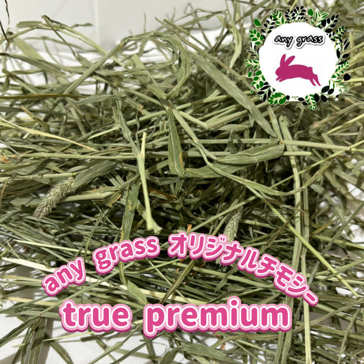 【any grass】 USA産 オリジナルチモシー 2番刈り true premium 3Kg 5Kg 牧草