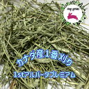 【any grass】 カナダ産 チモシー 1番刈り 1stアルバータプレミアム 1Kg~15Kg 牧草